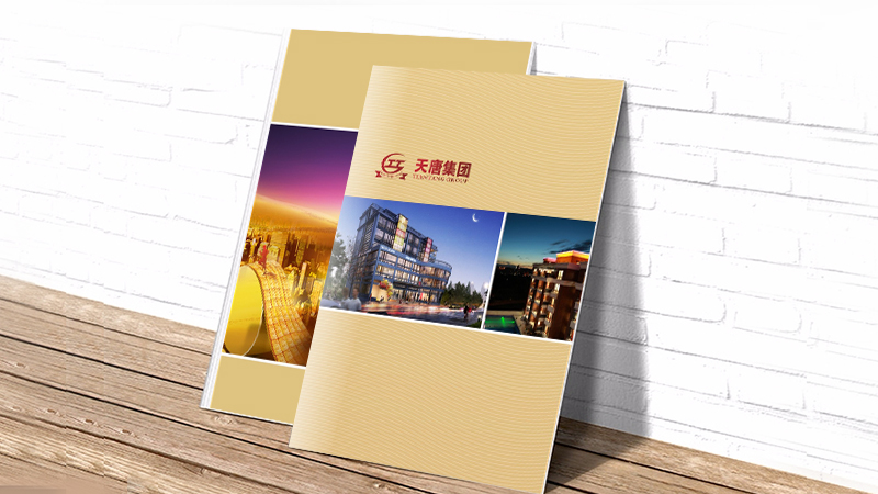 天唐集團(tuán)選3-畫冊(cè).jpg