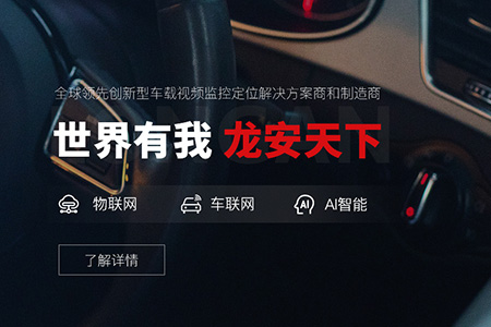 龍安天下電子